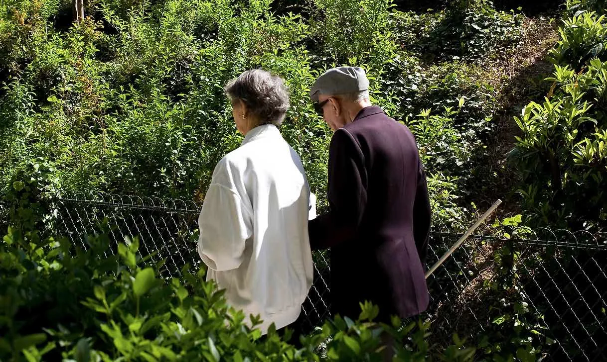An elderly couple walks away from the camera, amid lush foliage of a public park